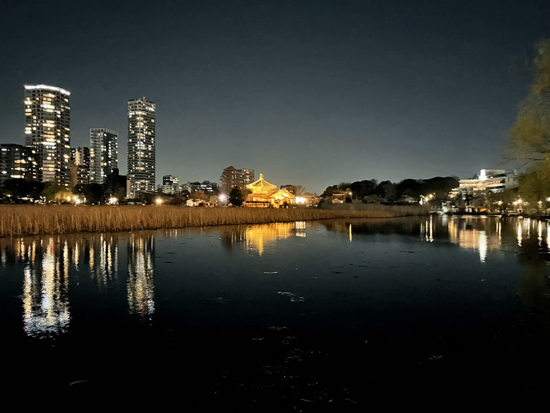 上野不忍池の夜景