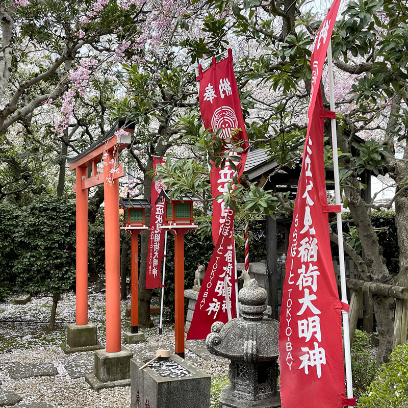 近所の正位伏見稲荷神社と桜