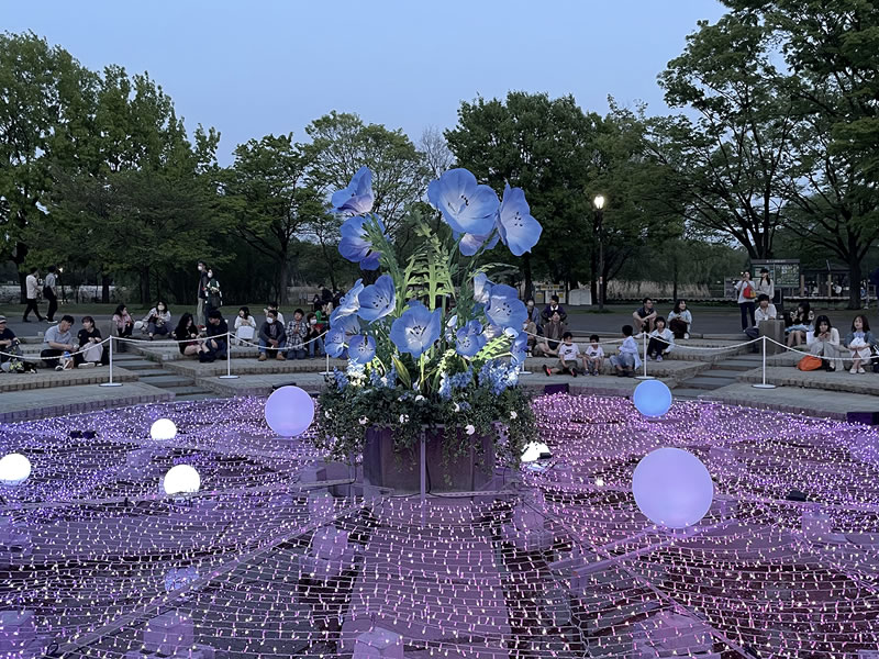 舎人公園 ネモフィラのオブジェ