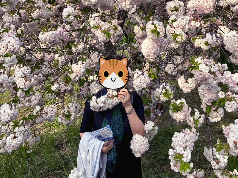 舎人公園の八重桜の前の妻