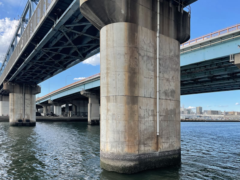 船橋港親水公園から見た東京湾岸道路の海老川大橋