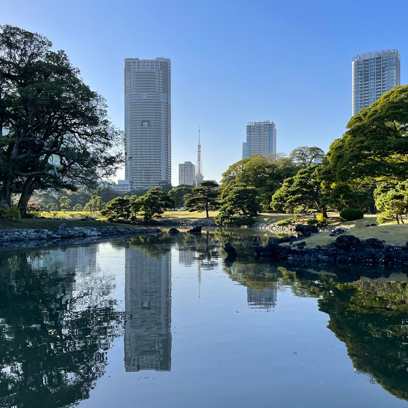 東京都中央区 浜離宮恩賜庭園 海手お伝い橋から横堀越しに見た東京タワーとアクティ汐留ビル