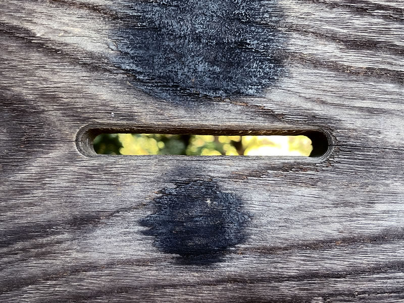 浜離宮恩賜庭園 鴨場の覗き穴