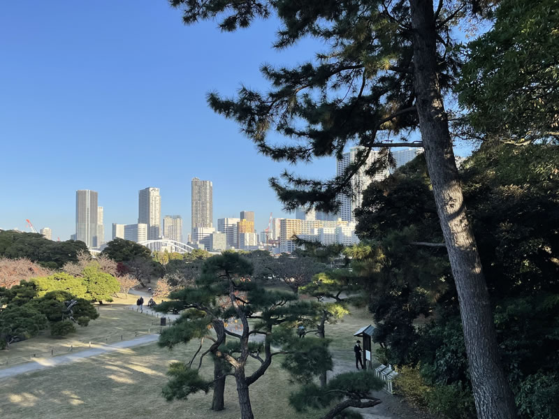 浜離宮恩賜庭園 富士見山の頂から見た風景(2)