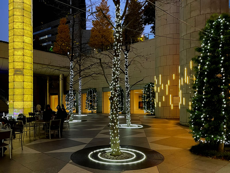 東京都港区東新橋 カレッタ汐留付近の夜景