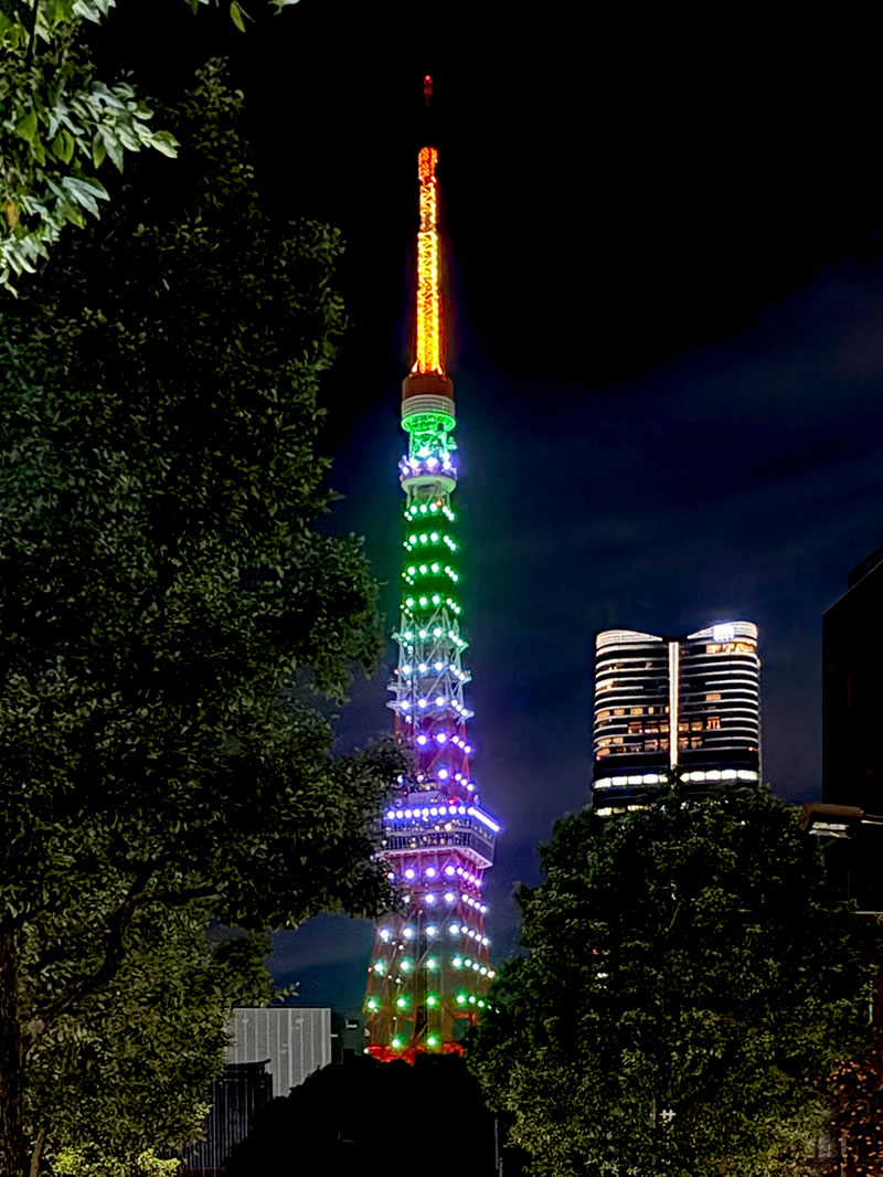 夜の港区芝公園２丁目から見た東京タワー