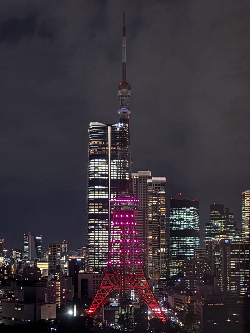 夜の港区芝公園２丁目から見たライトダウン中の東京タワー