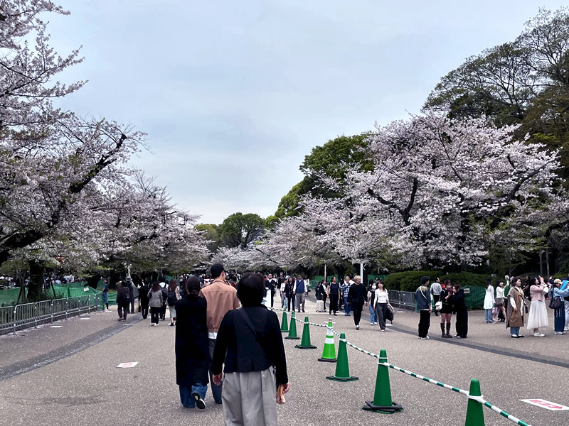 上野恩賜公園の風景