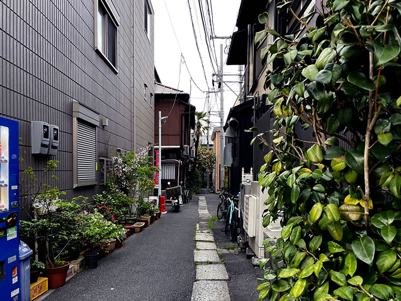 谷中２丁目の路地裏の風景