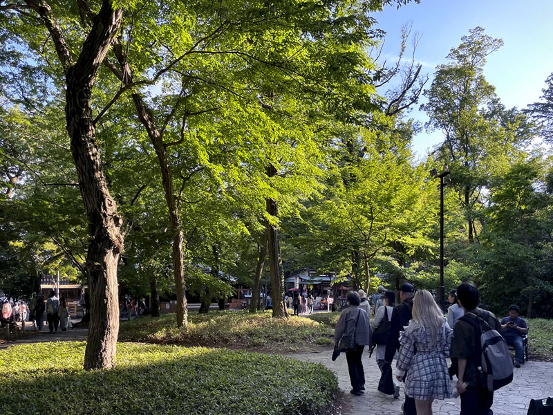 神代植物公園 深大寺門付近の風景