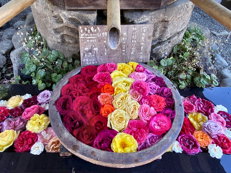 深大寺 花手水